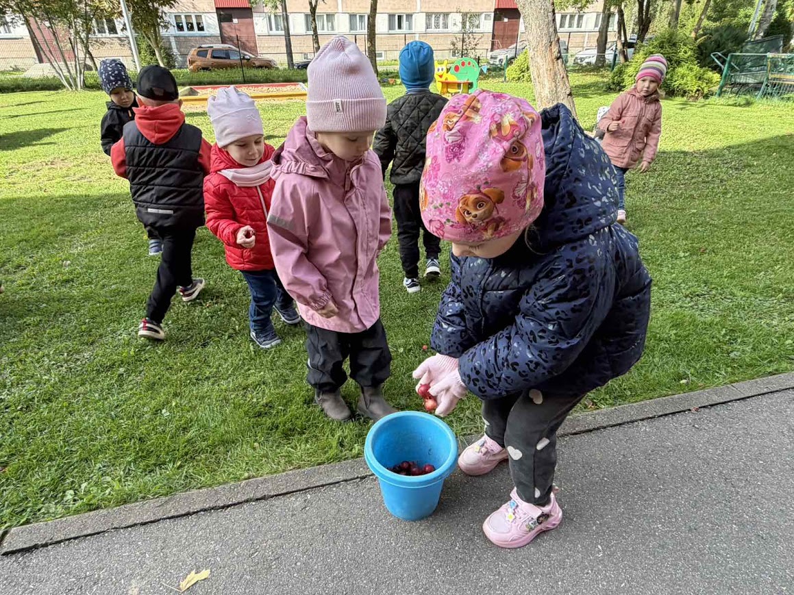 Eile, osalesid kõik meie lasteaia rühmad Maailmakoristuspäeva tegevustes. Koos lastega korrastasime lasteaia territooriumi, korjasime prügi ning muutsime oma üm